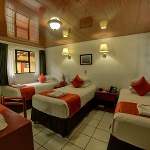 Standard Room Three Single Beds